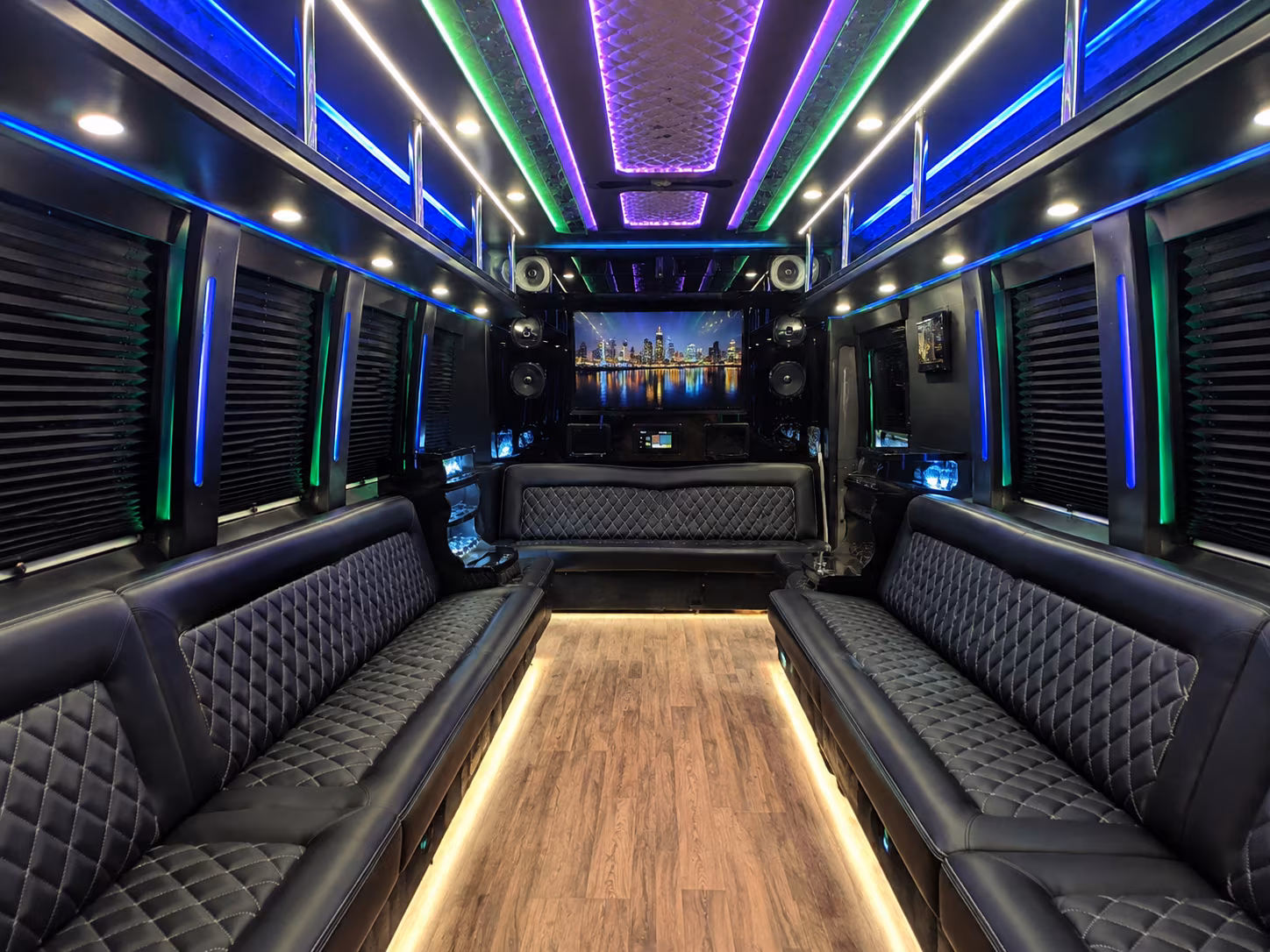long island 25 passenger party bus interior